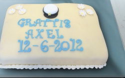 student-tarta-blue