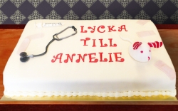 student-tarta-lakare